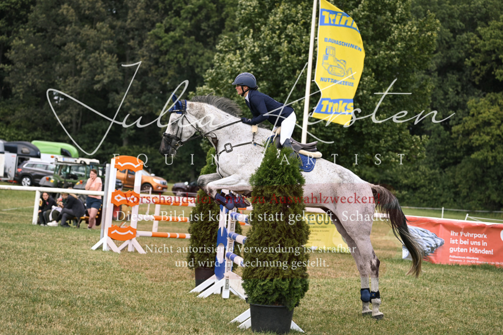 DSC_0948 | Pferde- und Turnierfotografie in Westsachsen. Pferdeportraits, Auftragszeichnungen und intuitive Kunst.