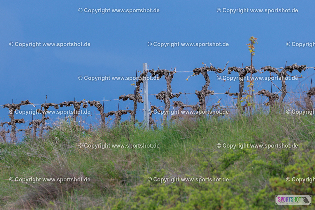 497_AR6_2436 | Neusiedlersee Radmarathon 2026@sportshot_your_pictrs #yourpictures#roadtowm2029 #nrm #neusiedlerseeradmarathon #neusiedlersee #neusiedlerseetourismus #burgenland #mörbisch #nrm26 #burgenlandtourismus #voglundco #poweredbyburgenlandtourismus #radsport #rad #marathon #ucigranfondo #visitburgenland #ucigranfondoworldseries
