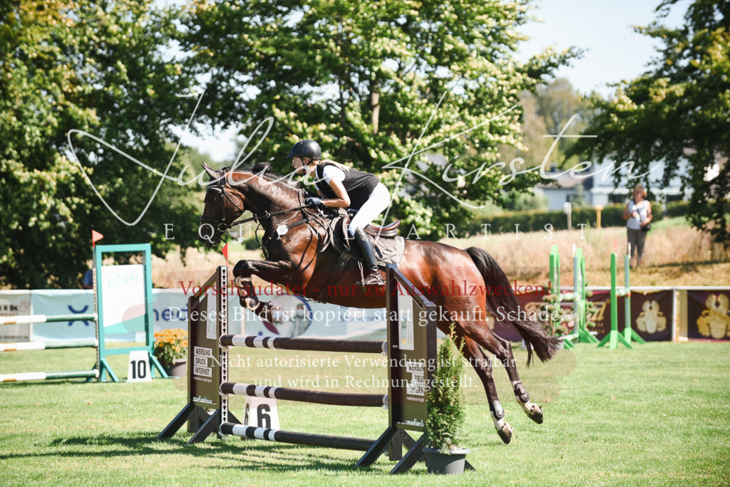 DSC_2714 | Pferde- und Turnierfotografie in Westsachsen. Pferdeportraits, Auftragszeichnungen und intuitive Kunst.