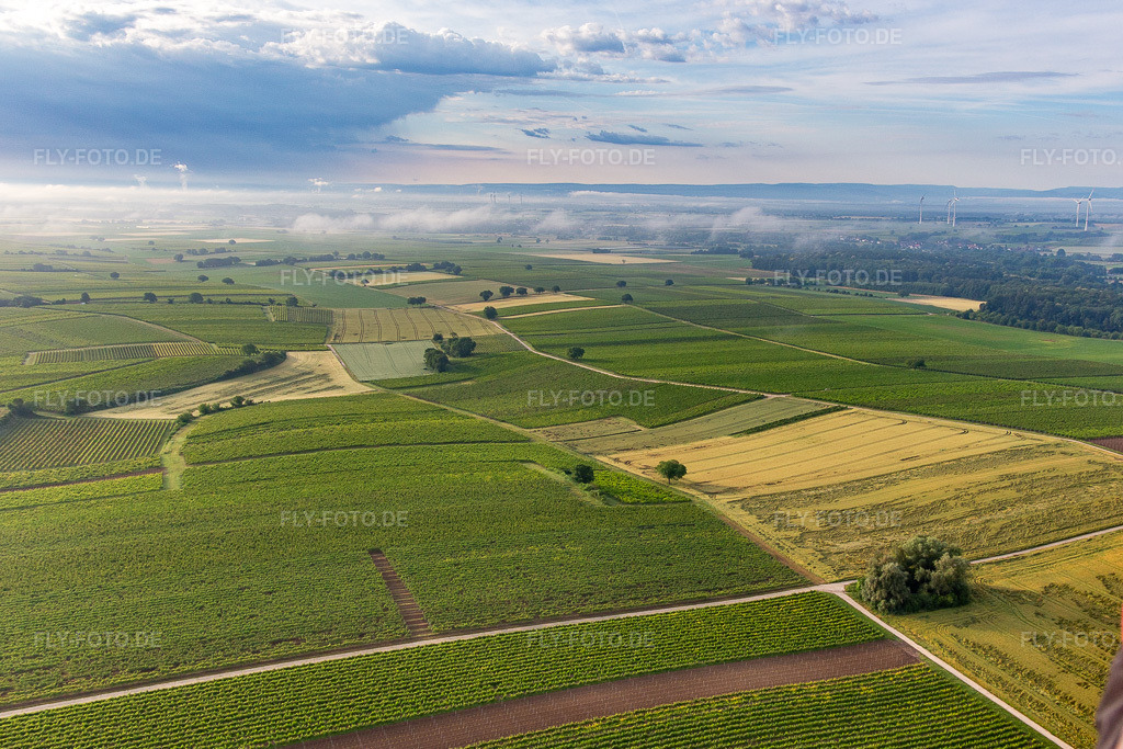 Luftbild: Tiefe Wolken über den Feldern vor Winden im Ortsteil Ingenheim in Billigheim-Ingenheim im Bundesland Rheinland-Pfalz in Deutschland. Foto: IMG_141746.jpg vom 18.06.2024 durch Werner Riehm/FLY-FOTO.de
