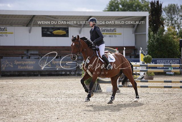 1J2A2327Linn Hamann_ Cas Hope 4_ Kn127_ Havekost | Foto- und Videografie für alles rund ums Pferd. Hochwertige Bilder und Videos vom Spring- und Dressurreiten, Voltigieren & mehr. Jetzt aktuelle Veranstaltungen und Preise im Shop ansehen. - Realisiert mit Pictrs.com