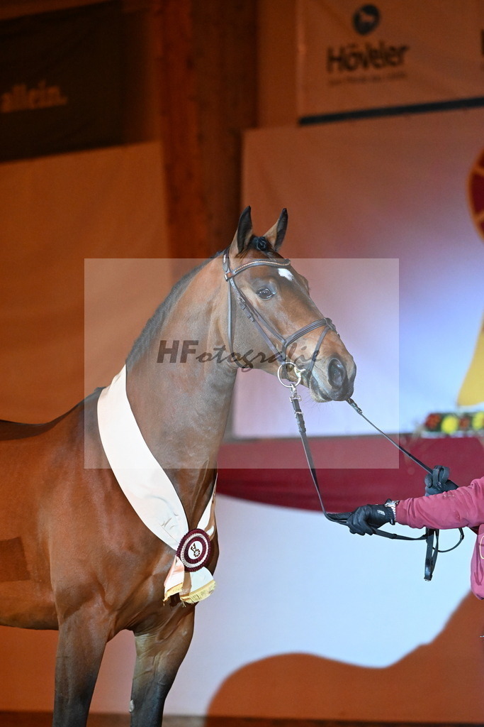 Chaplin_s Touch_Bachl_3261928 | hf-fotografie - Realisiert mit Pictrs.com