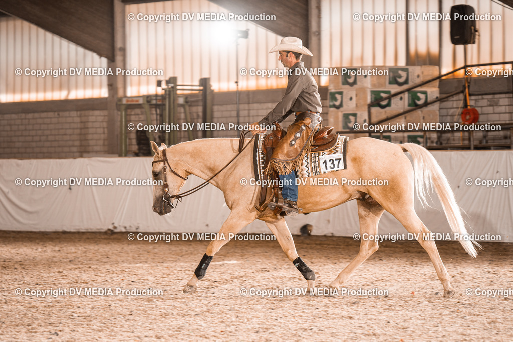 ZH100502 | dv-media-shop - Realisiert mit Pictrs.com