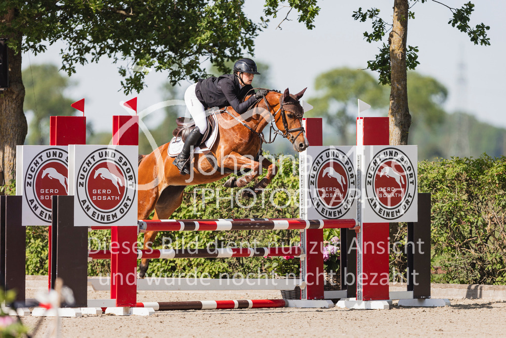 250621_Lemwerder_QualiBuChaPonys5j-102 | Deine schönsten Turniermomente als professionelle Fotos! Entdecke hochwertige Pferdesport-Fotografie im Online-Shop. Jetzt Fotos finden & bestellen!