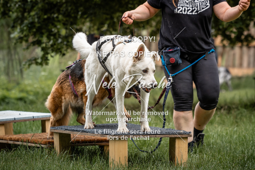 nelerasche_So-funtrail_177 | nelerasche