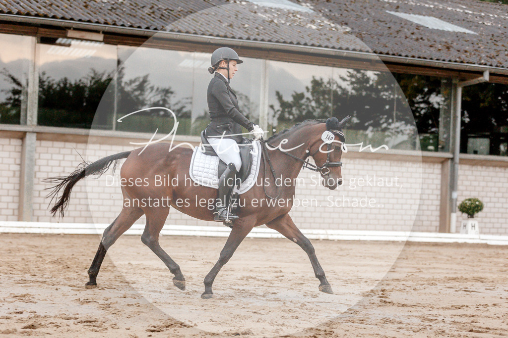 3I6A5423 | Stimmungsvolle Portraits und Reitsportfotografie im Ruhrgebiet und im Münsterland.

Pferdefotografie, Hundefotografie, Tierfotografie, Reportagen, Portraits von Tier und Mensch, Turnierfotografie in Bochum, Recklinghausen, Marl, Haltern am See, Dülmen.. - Realisiert mit Pictrs.com