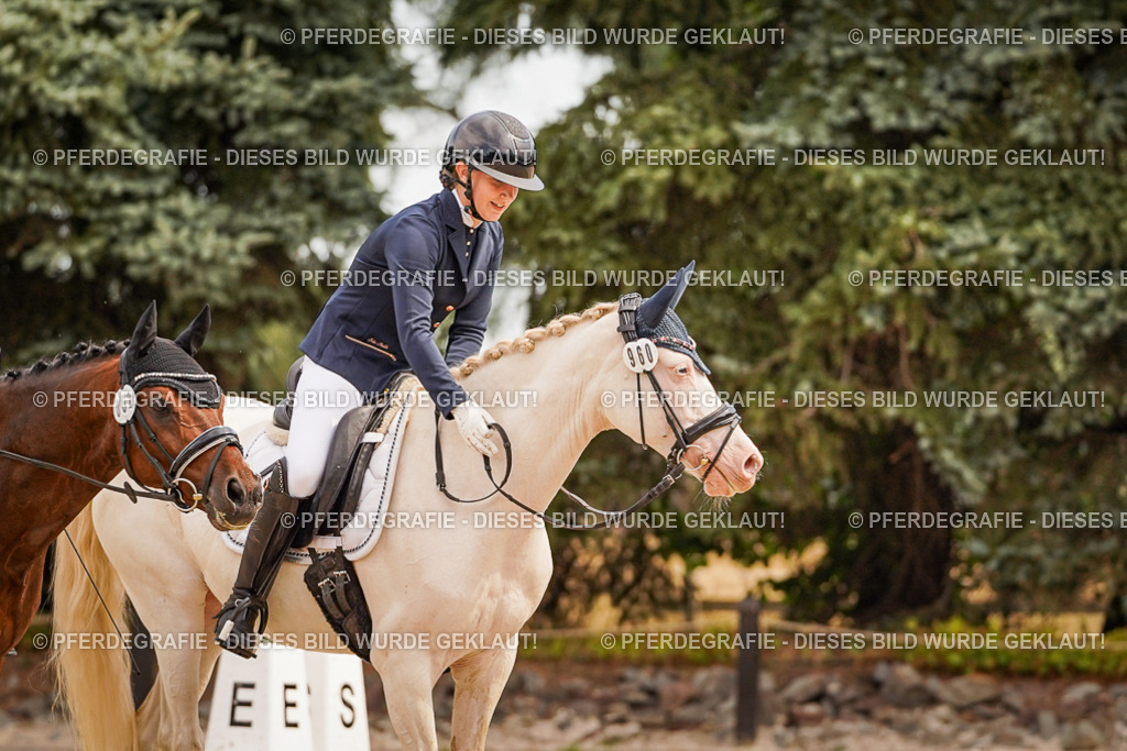 DSC02044 | Pferdegrafie