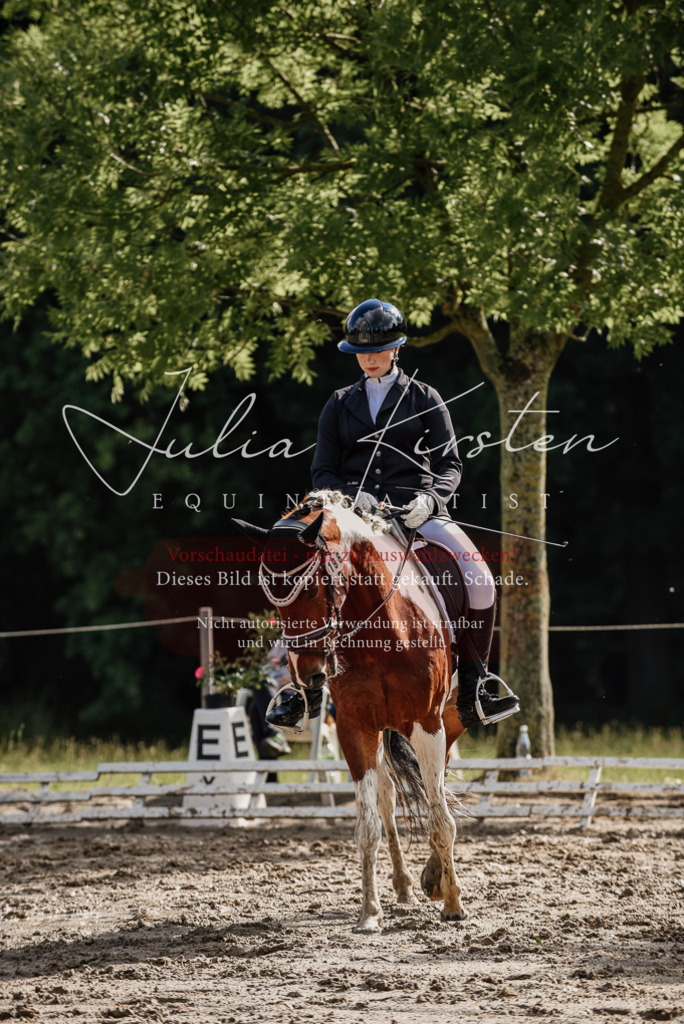 DSC_8709 | Pferde- und Turnierfotografie in Westsachsen. Pferdeportraits, Auftragszeichnungen und intuitive Kunst.