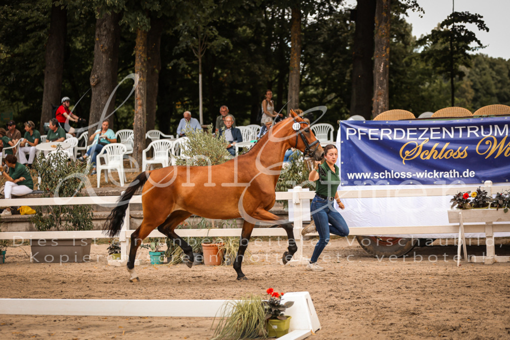 05.So00023 | Leoni Ertmer Photography - Realisiert mit Pictrs.com