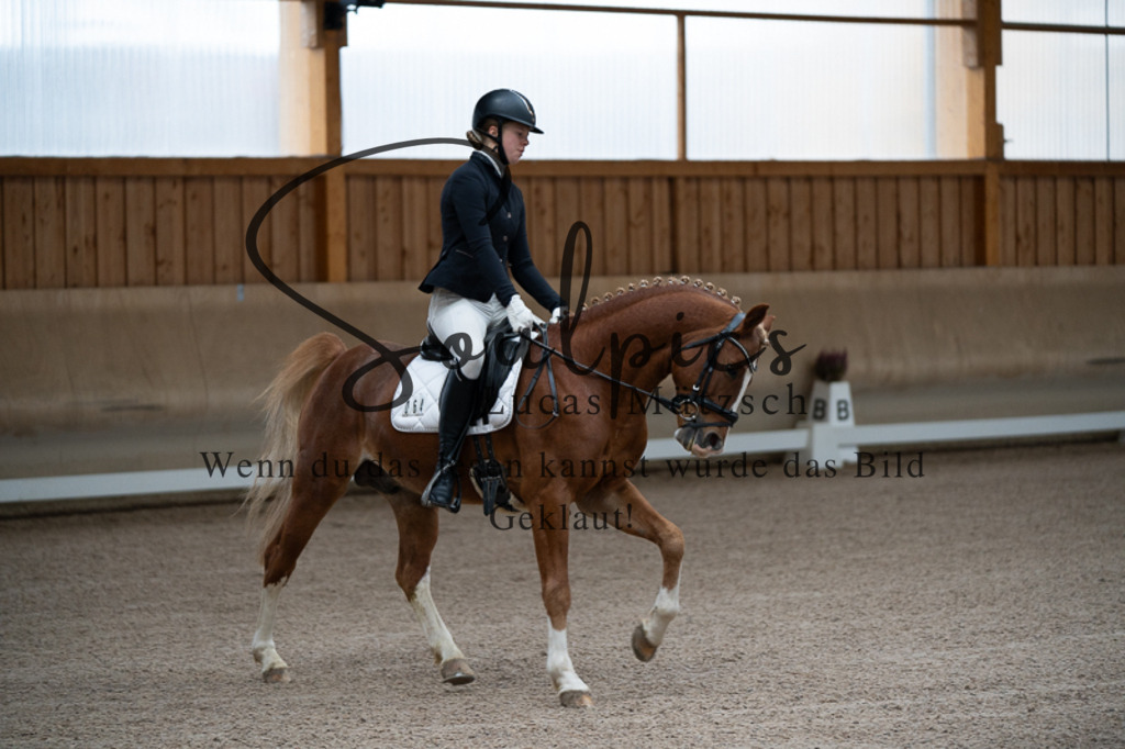 A7V02094 | Pferdefotograf