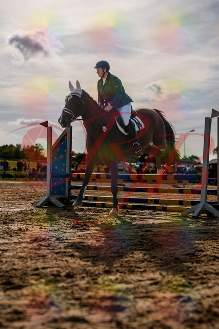 2026_10_03_Siefer-Hof_160615_Z63_12332599 | Professionelle Reitsport-, Turnier- und Eventfotografie von Robert Broda. Galerien mit ausgewählten und bearbeiteten Bildern direkt online ansehen und bestellen.