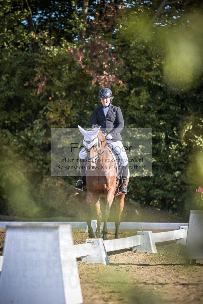 DOS_1002 | Entdecke hochwertige Reitturnierfotos von Foto Oger. Professionell, emotional und authentisch – jetzt Lieblingsmomente im Shop bestellen.Deutschlandweite Turnierfotografie. - Realisiert mit Pictrs.com