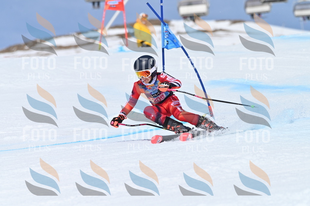 BGV_1124 | holidayphoto