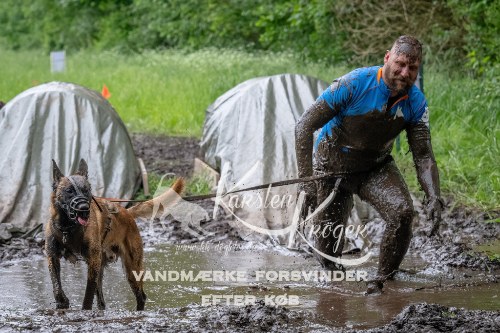 1642_ZZ94995-Bearbeitet | kk-dogfotos