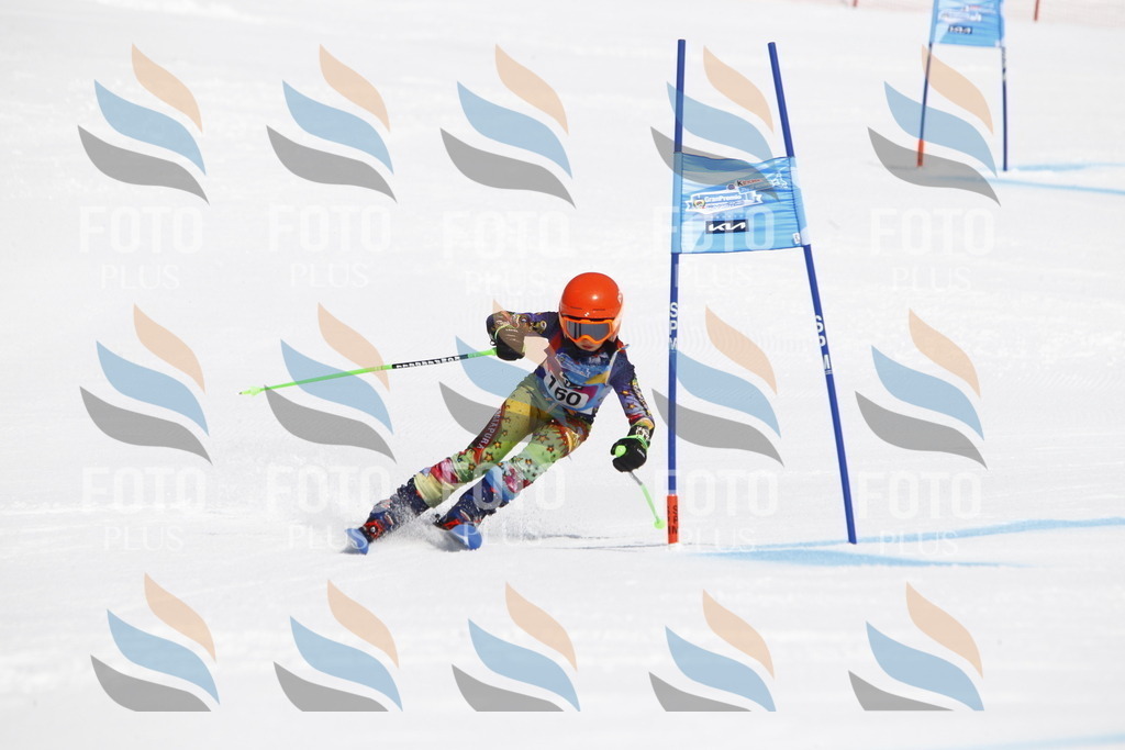 _U3G4318 | holidayphoto