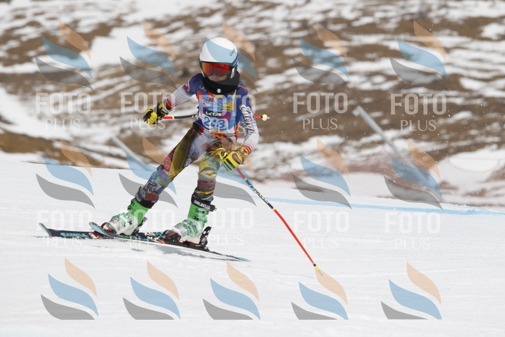 _U3G2852 | holidayphoto