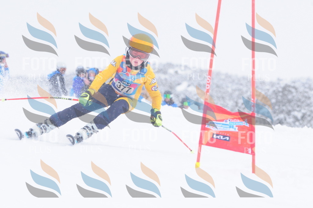 C4021 | holidayphoto