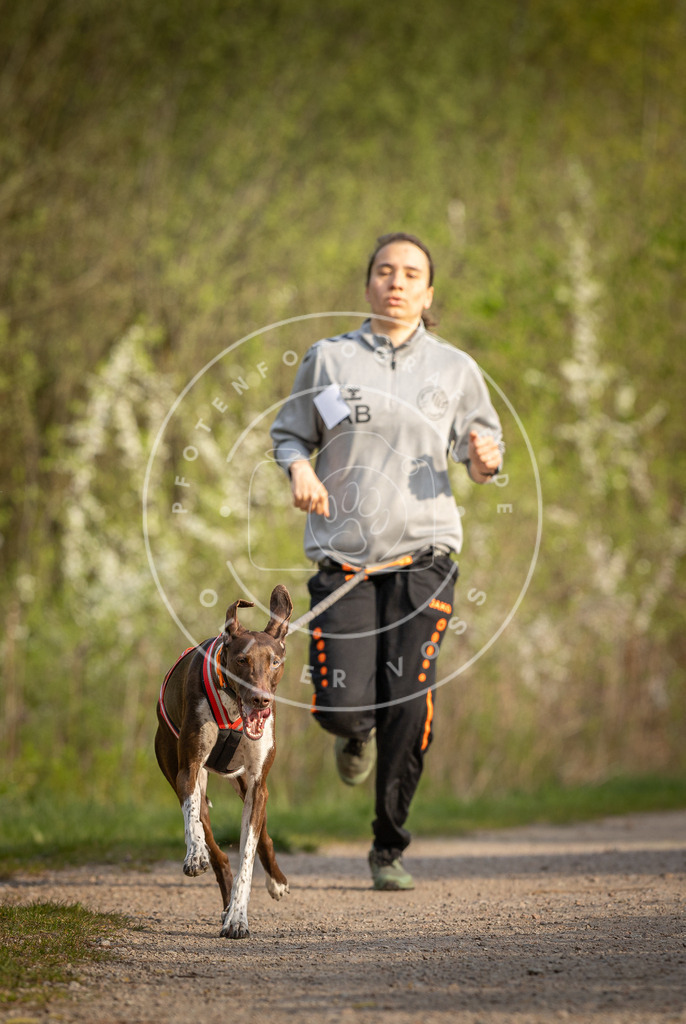 Pfotenfotografie_DV3A4504 | Hundefotografie, Tierfotograf, Pfotenfotografie, Fotoshooting Hund, Hunde Portrait, Hundesport, Hundeportraits, Heideshooting, Hunde, Sportfotograf, Hundefotograf, Turnierhundsport, THS,  - Realisiert mit Pictrs.com