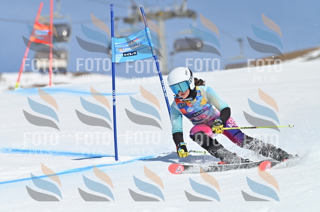 BGV_9162 | holidayphoto