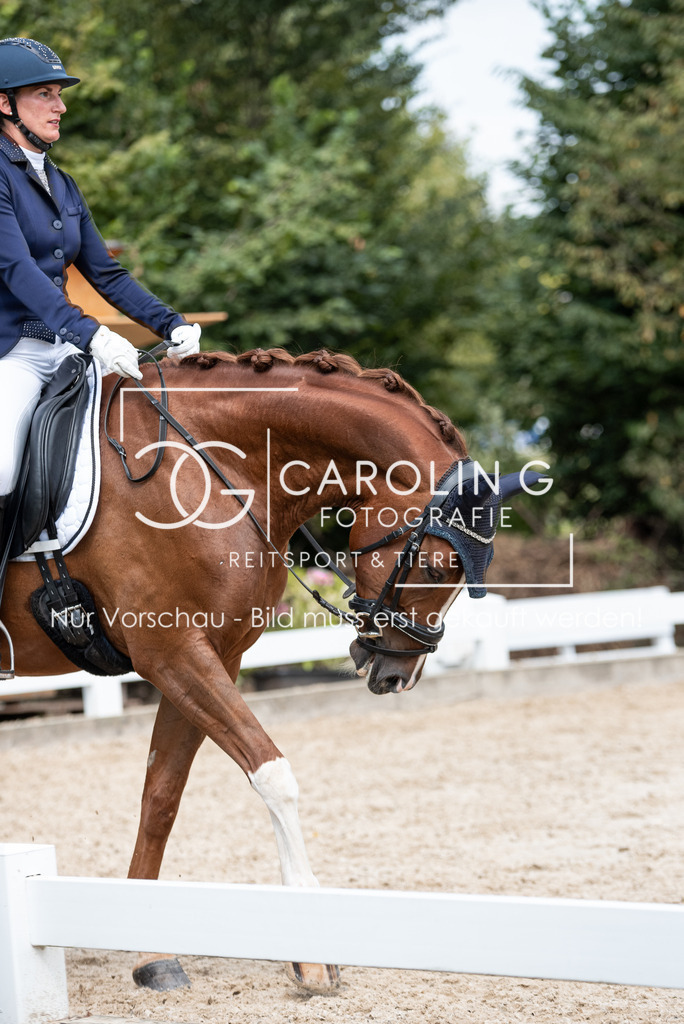 DSC_3523 | Turnierfotografin Carolin Gieschke, Turnierfotografie Carolin G Fotografie, Turnierfotos Kirchheim/Teck, Esslingen, Stuttgart, Bodenseekreis
