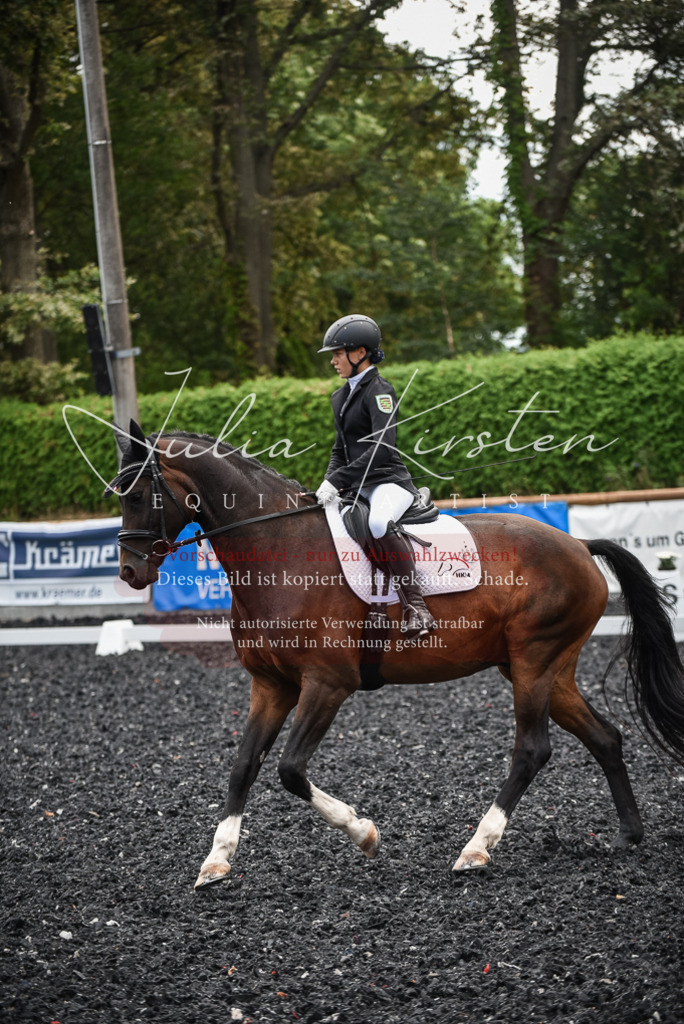 DSC_4574 | Pferde- und Turnierfotografie in Westsachsen. Pferdeportraits, Auftragszeichnungen und intuitive Kunst.