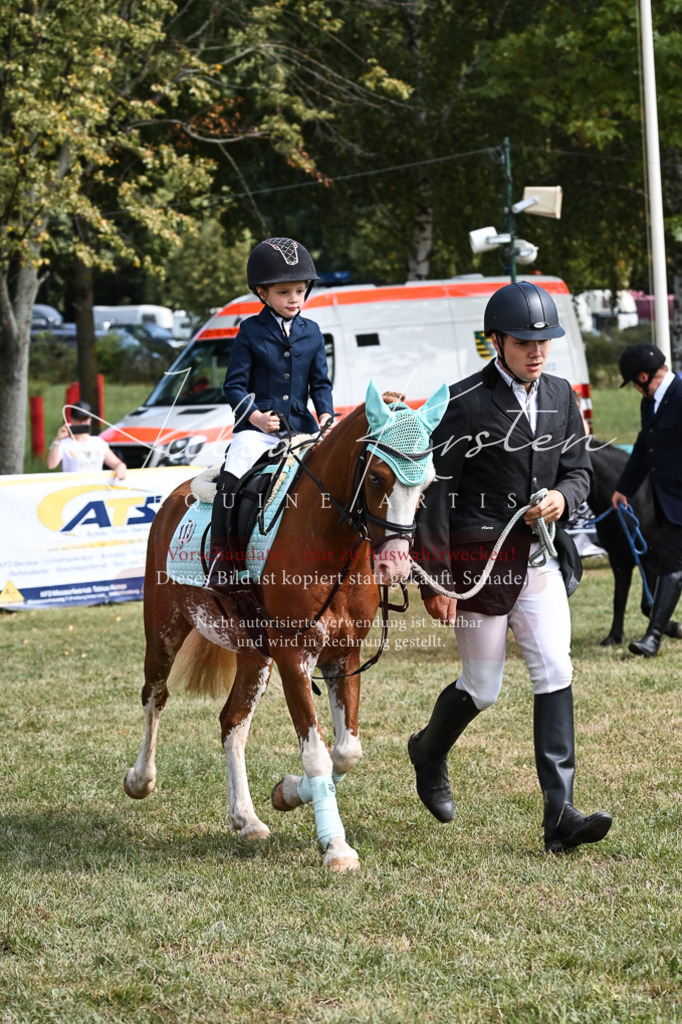 DSC_6863 | Pferde- und Turnierfotografie in Westsachsen. Pferdeportraits, Auftragszeichnungen und intuitive Kunst.
