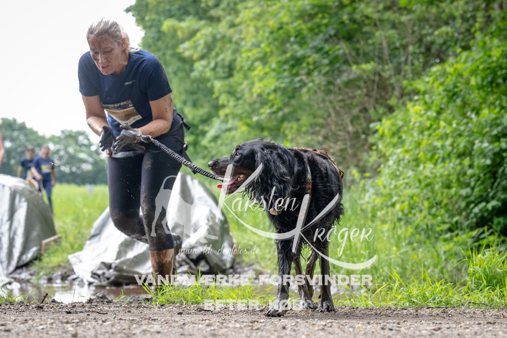 0949_ZZ91900 | kk-dogfotos