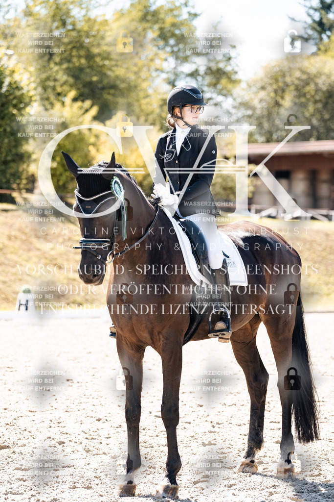 CK909951 | Turnierfotografie Pferdefotografie Trier Rheinland-Pfalz Pferdesport Reitsport Tierfotografie Sportfotografie Pferdevideo Pferdevideografie Equestrianvideography equestrianphotography  - Realisiert mit Pictrs.com
