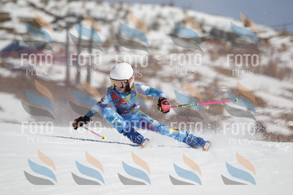 _U3G0554 | holidayphoto