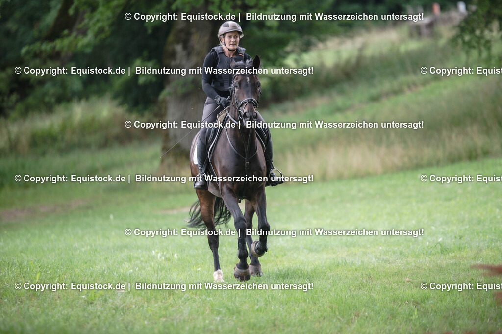 20250726_Vielseitigkeitslehrgang-Marbach_0432 | Foto: Thomas Hartig