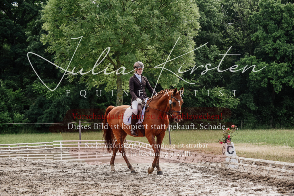 DSC_9688 | Pferde- und Turnierfotografie in Westsachsen. Pferdeportraits, Auftragszeichnungen und intuitive Kunst.