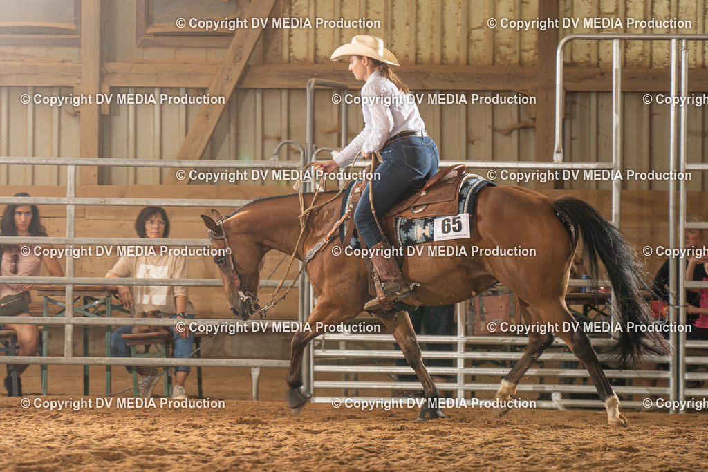 NID01692 | dv-media-shop - Realisiert mit Pictrs.com