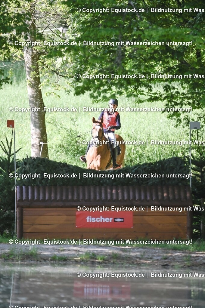 20250517_CCI2_Gelände_0287 | Foto: Thomas Hartig