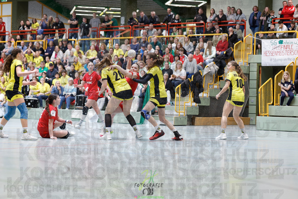 Hessenmeisterschaft wJC - Finale; HSG Kleenheim - HSG Weiterstadt/ Braunsh.Worf. | Hessenmeisterschaft wJC - Finale; HSG Kleenheim - HSG Weiterstadt/ Braunsh.Worf. am 22.03.2025 in Biedenkopf (Sporthalle Lahntalschule)Photo © 2025 - Jörg Heinrich - Realisiert mit Pictrs.com