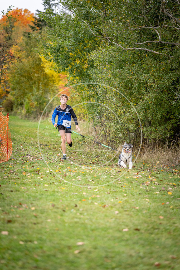 Pfotenfotografie_DV3A1913 | Hundefotografie, Tierfotograf, Pfotenfotografie, Fotoshooting Hund, Hunde Portrait, Hundesport, Hundeportraits, Heideshooting, Hunde, Sportfotograf, Hundefotograf, Turnierhundsport, THS,  - Realisiert mit Pictrs.com