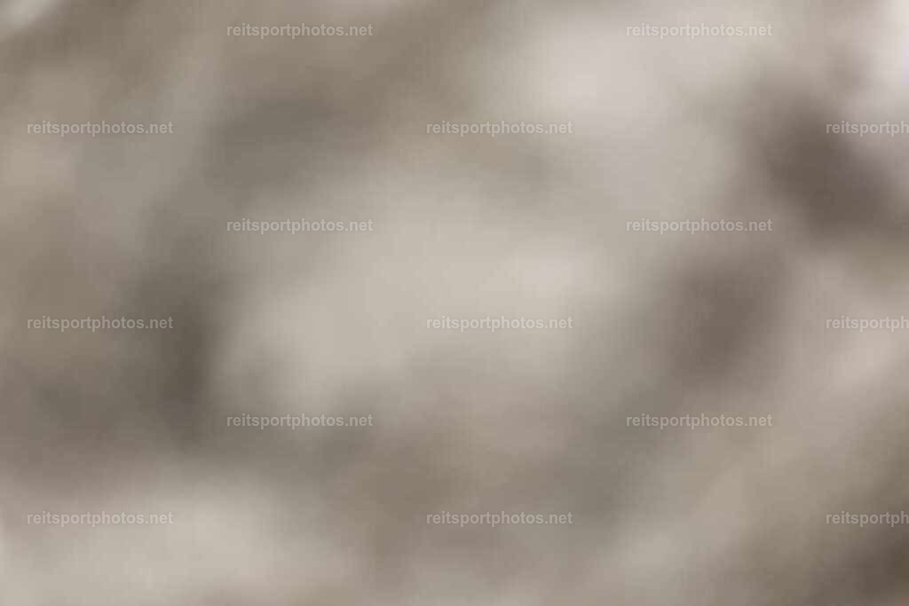 JoYaR3_Heidehof_01112 | JoYa Fotografie - Realisiert mit Pictrs.com