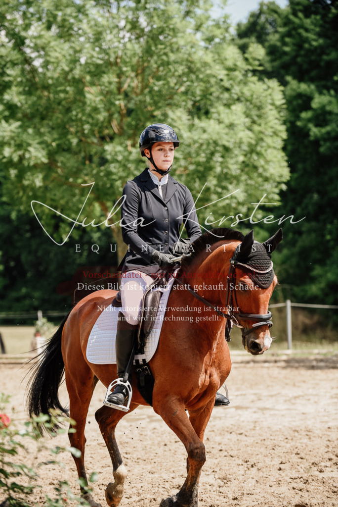 DSC_1754 | Pferde- und Turnierfotografie in Westsachsen. Pferdeportraits, Auftragszeichnungen und intuitive Kunst.