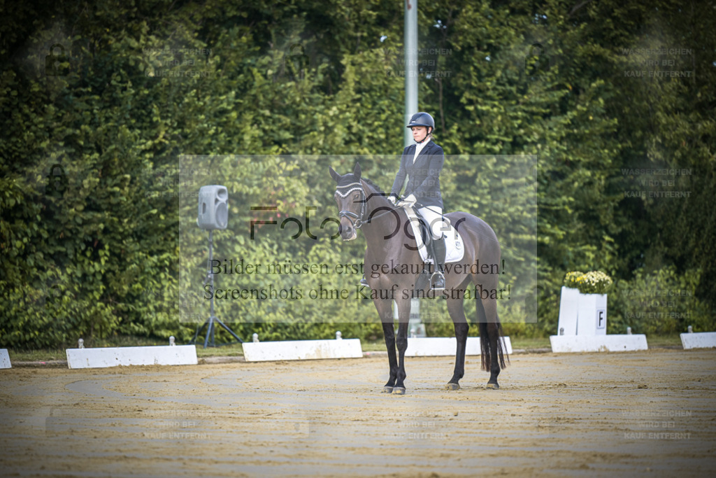 DOS_4488 | Entdecke hochwertige Reitturnierfotos von Foto Oger. Professionell, emotional und authentisch – jetzt Lieblingsmomente im Shop bestellen. - Realisiert mit Pictrs.com