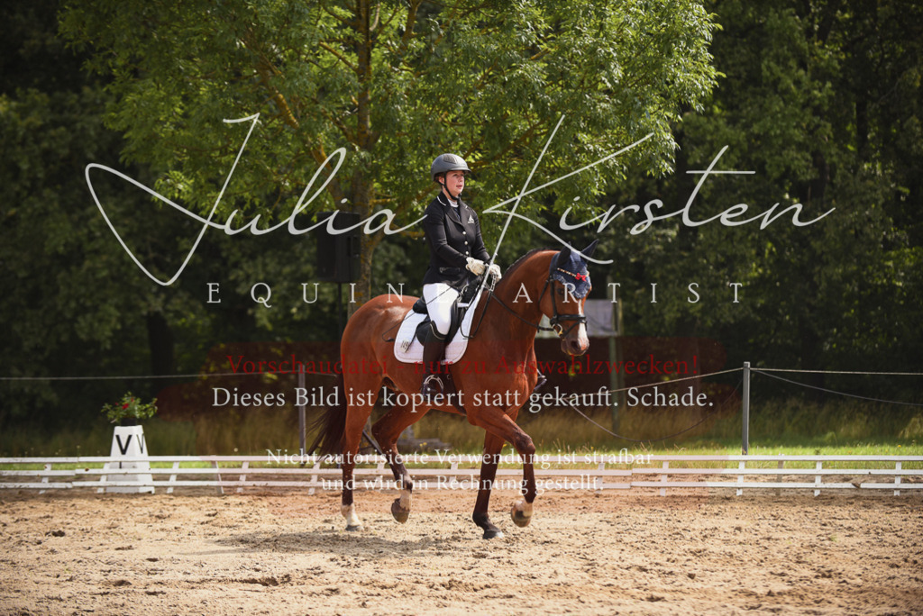 DSC_0755 | Pferde- und Turnierfotografie in Westsachsen. Pferdeportraits, Auftragszeichnungen und intuitive Kunst.