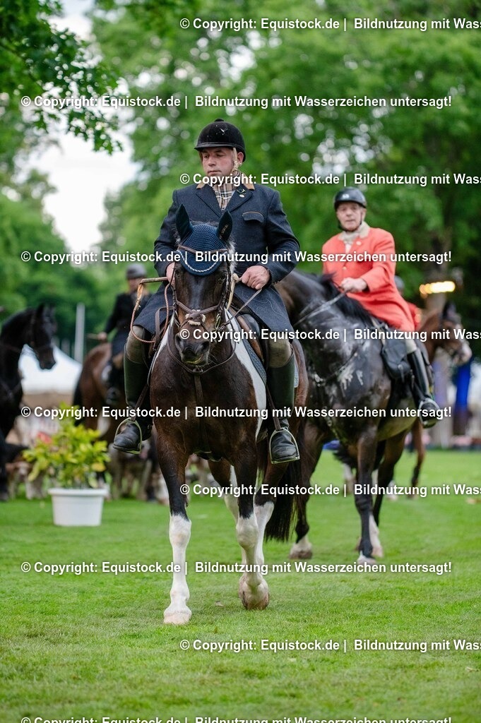 20250606_Lange-Pferdenacht_0522 | Foto: Thomas Hartig