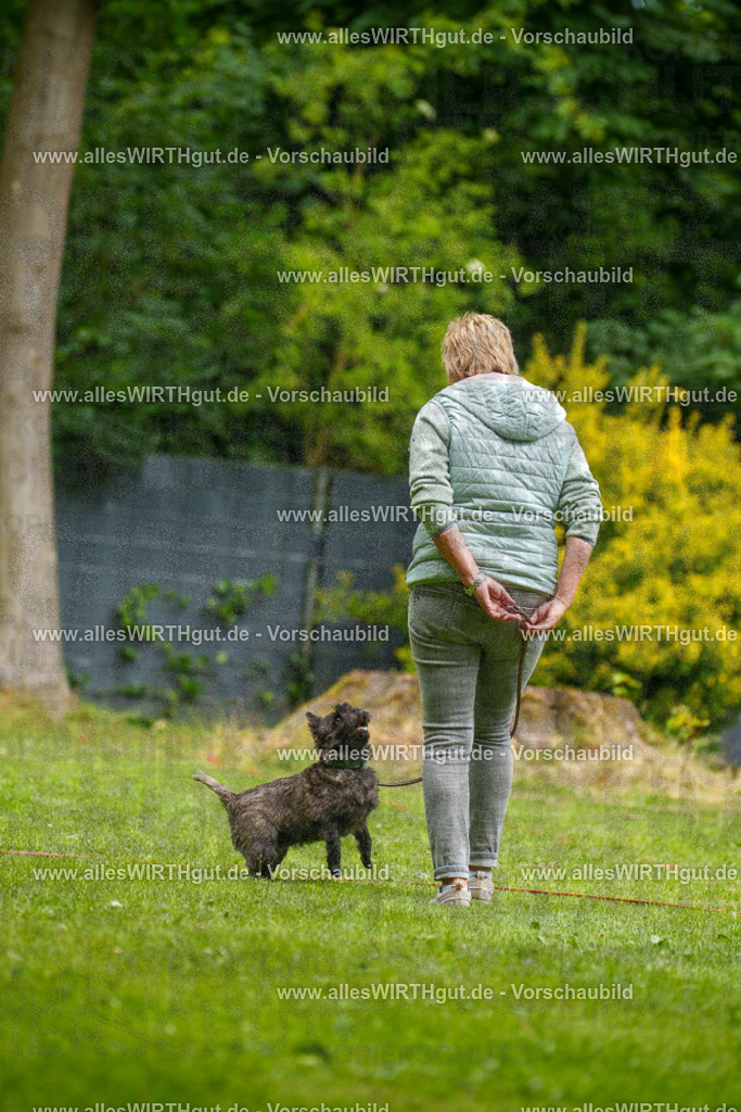 @allesWIRTHgut_Tierfotografie - www.allesWIRTHgut.de - 130314-7R509741 | Professionelle Tierfotografie in Mönchengladbach von Daniel Wirth (allesWIRTHgut). Liebevolle & natürliche Bilder von Hunden & Katzen für unvergessliche Erinnerungen.