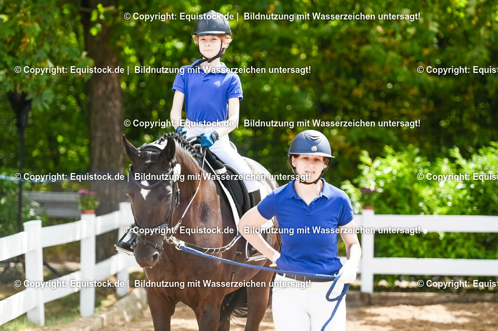 20230716_11_Führzügel-WB_0061 | equistock