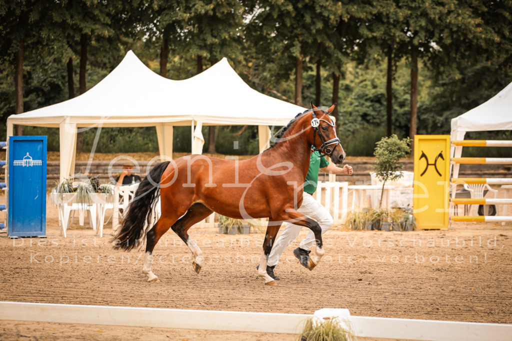 12.So00057 | Leoni Ertmer Photography - Realisiert mit Pictrs.com