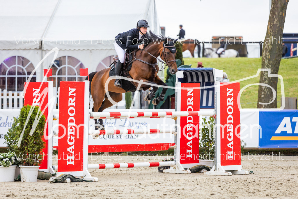 BHO-2PhSpr-M-274 | MomenTaufnahmen Pferdesportfotos