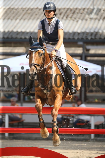 Waiblingen_2022_Springen_Kl.S_Verena Kölz_Landor 48 (5) | Alle Fotos der Reiterjournal Fotografin Doris Matthaes im Reiterjournal Online-Fotoshop. - Realisiert mit Pictrs.com