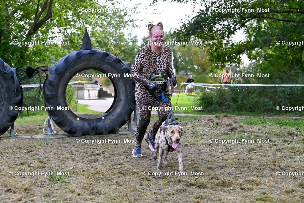 DSC_3755 | Hallo und herzlich Willkommen auf meiner Shop-Seite Fynn Most.

Ich wünsche Dir viel Spaß beim stöbern durch die Bilder, wenn Du Fragen hast oder Bilder vermisst, kannst du mir gerne eine Nachricht schreiben. - Realisiert mit Pictrs.com