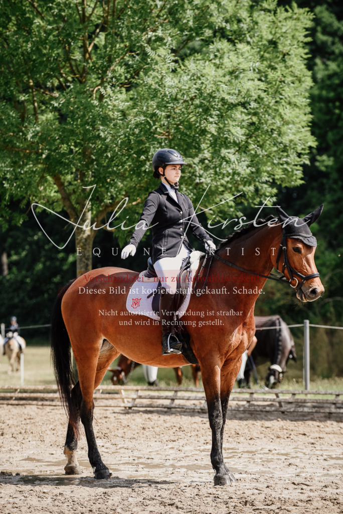 DSC_0966 | Pferde- und Turnierfotografie in Westsachsen. Pferdeportraits, Auftragszeichnungen und intuitive Kunst.