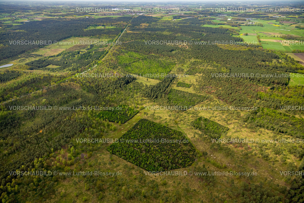 Schermbeck240402073UefterMark | Luftbild, Waldgebiet und Waldmuster an der Borkener Straße Bundesstraße B224, Üfter Mark, Altschermbeck, Schermbeck, Münsterland, Nordrhein-Westfalen, Deutschland