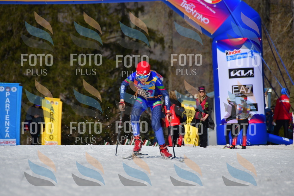 _DSC0506 | holidayphoto