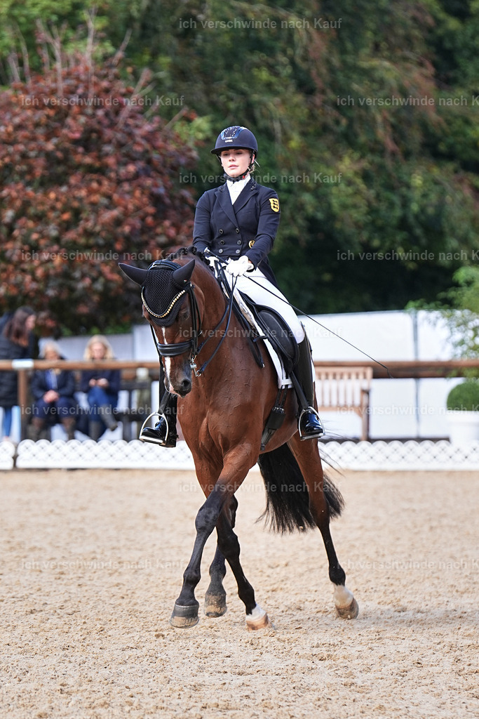 07-003-DRESSUR  S___  -Marixx-5160 | working equitationturnier fotograf videograf stoibphotography marixx film working equitation deutschland reitsport turnierfotografie eventfotografie equestrian events